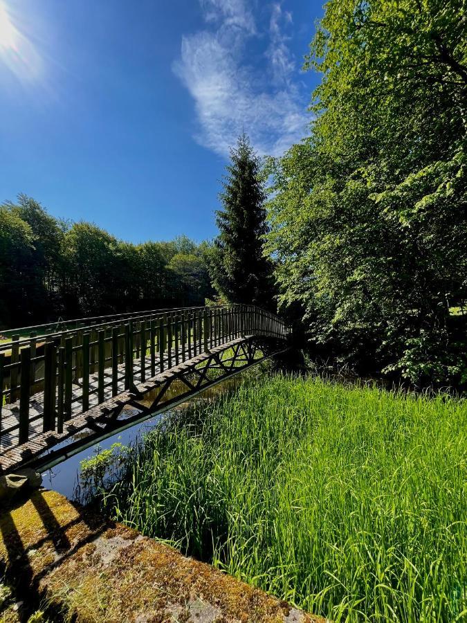 Domek W Glebi Lasu Nad Stawem Wierszyno Exteriér fotografie