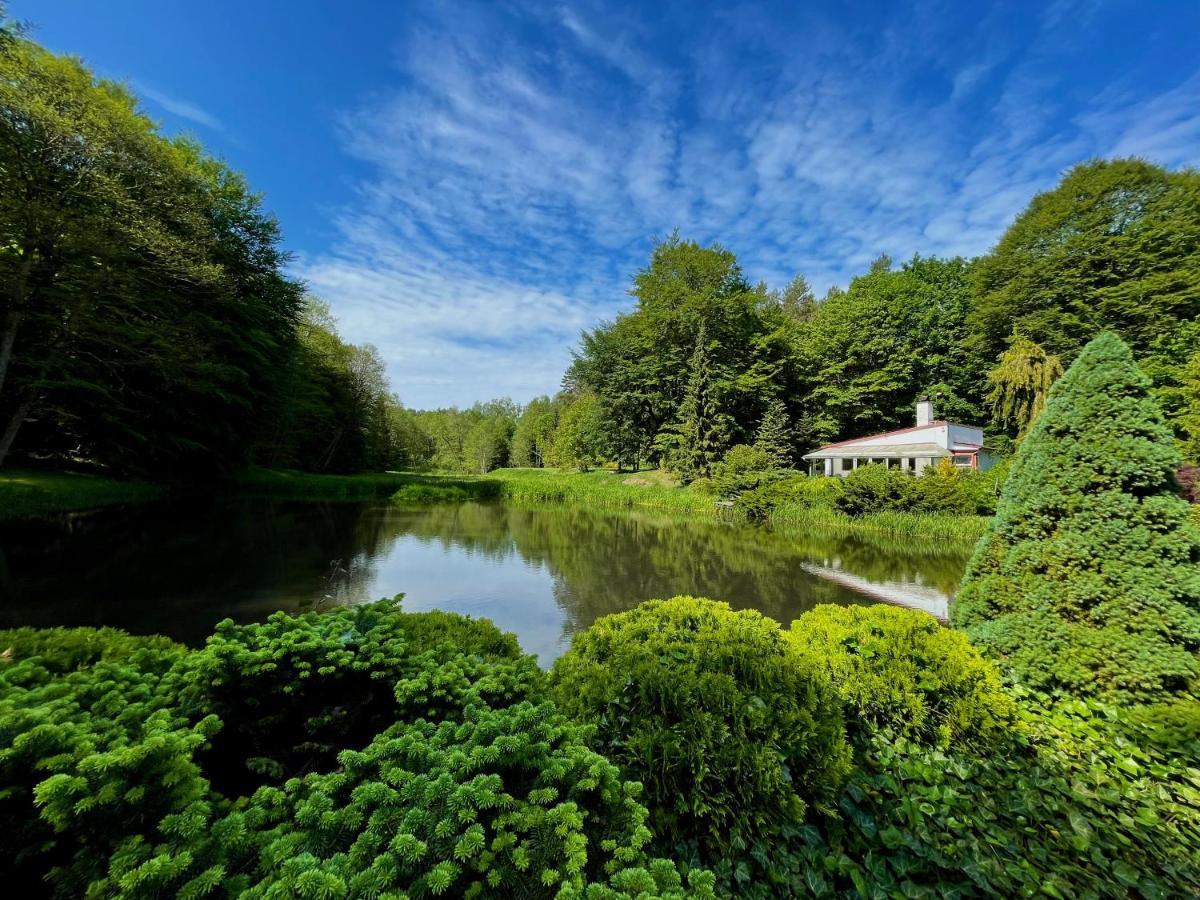 Domek W Glebi Lasu Nad Stawem Wierszyno Exteriér fotografie
