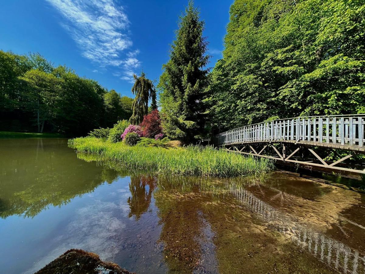 Domek W Glebi Lasu Nad Stawem Wierszyno Exteriér fotografie